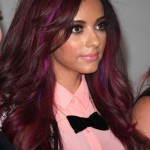 dark hair with plum highlights trend