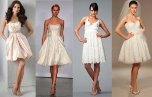 Short lace wedding dress 2013