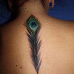 peacock feathers tattoos meaning